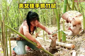 美女在荒野徒手抓竹鼠，太猛了！#创作灵感视频封面