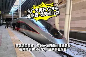 京港标杆G79次列车：10分钟带你体验北京西-香港西九龙全程！视频封面
