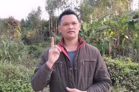 什么友情  亲情 所有的情都是要用钱来维持的 努力赚钱才是王道视频封面