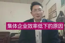 国有企业集体企业在工业化进程中发挥了巨大的作用视频封面