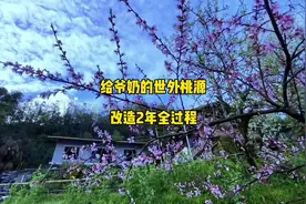 记录一下2年时间改造爷爷奶奶小院全过程，亲手打造世外桃源视频封面