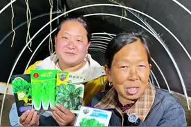 蔬菜的种植时间 瓜果蔬菜的种植时间#蔬菜种植 #应季蔬菜时间表 #生菜杨姐 #蔬菜种子 @DOU+小助手