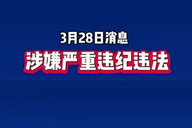杭州高新开发区党工委委员、滨江区委常委、统战部部长朱黎明接受纪律审查和监察调查。#杭州  #本地新闻  #廉政视频封面