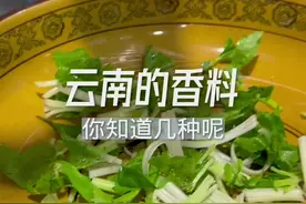 云南人做菜喜欢用的香料，你知道几种？#地方特色美食 #云南美食 #有一种叫云南的生活视频封面