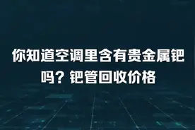 你知道空调里含有贵金属钯吗？钯管回收价格视频封面