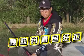 颗粒调钓青鱼一招会 调二钓四就抓有力顿口，连杆中#黑坑青鱼 #青鱼钓法教学视频封面