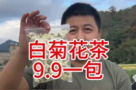 黄山白菊花 刚刚产新的白菊花茶，泡水喝味浓香高，家里备点，泡杯菊花茶。#菊花茶 #黄山贡菊#白菊花茶视频封面