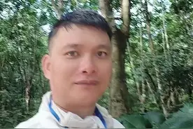 #原创作品 #生态公益林 要合法合规的去办理更新手续，不要擅自破坏林木视频封面