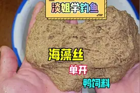 海藻丝单开鸭饲料方法分享！天气转凉应对轻口、滑口野生大罗非！