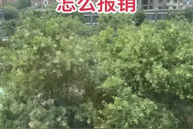 低保长期吃药怎么报销 #助农 #新农人#低保视频封面