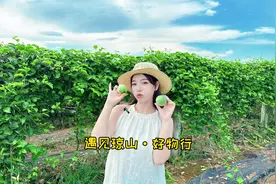 来海口玩一定不要错过逛一逛，这个充满了人文好物的琼山视频封面