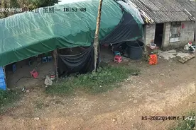 看见么自己来找我，我给两天时间，过了我就报警了视频封面