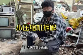 今天把35估来的小空调压缩机拆开 里面的含铜率还挺高的！#压缩机视频封面