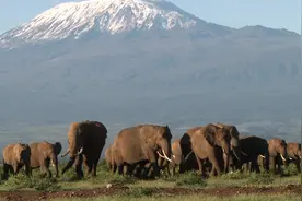 徒步：乞力马扎罗山全程攀登-远足  MT. KILIMANJARO   The Full视频封面