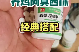 #养鸡 #养鸡技术 #生态散养土鸡 #禽病防治 #鸡病防治视频封面