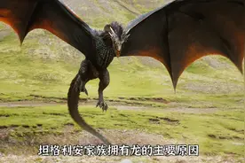 你知道为什么只有坦格利安家族才能驾驭龙吗？#权力的游戏视频封面