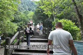 为什么会有便宜的旅游团#跟团游 #旅游视频封面