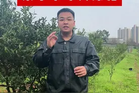 记住这三种杀菌剂，就能让你的果子干净又漂亮!#柑橘种植  #来抖音学农技  #新农人计划2024  #杀菌剂  #花皮果视频封面