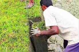 孟加拉人为什么要售卖土地？