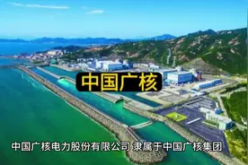 中国广核#核电 #核电站 #中广核 广东视频封面