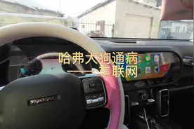 #哈弗大狗 #原创视频 哈弗大狗通病，车联网掉线束手无策？视频封面