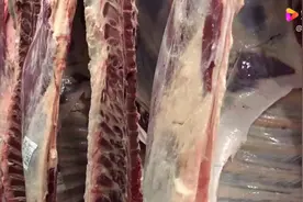 俄罗斯牛肉来了……视频封面