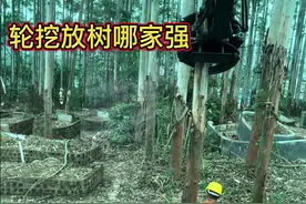 #旋转抓木机 #带你玩木头 一条条滴放，稳坨坨