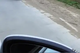 生活是自己的，不是活给别人看的。不要太在意别人的看法，不要迷失在别人的评价里，走自己的路，做自己就好。 #治愈人世 #治愈 #治愈系
