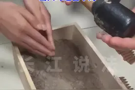 警方提醒：市民在日常生活中若发现枪支弹药，应第一时间联系警方，切勿私自保存，更不可乱拆乱动，以免发生意外。私存枪支弹药属于违法行为，一旦发现将会被追究法律责任。视频封面