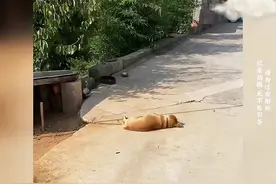 #破防就在一瞬间 #感人一幕 #瞬间戳中泪点视频封面