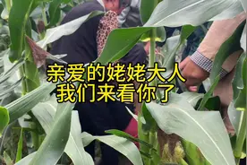 最近家书很火，我也给您写一封吧，您在的时候，我是多幸福视频封面