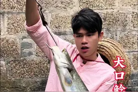 在亚马逊、尼罗河能够长到俩三百斤的大口花鲶做鱼生！采用二十几种配料，想吃什么就加什么，非常过瘾！鱼生也是列入了广西非物质文化遗产，更是当地的一道传统佳肴！#鱼生 #美食 #新农人计划2024 #抖音商城 #大口鲶鱼