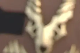 “我只是想变得幸福而已啊”#假面骑士龙骑 #假面骑士羚皇视频封面