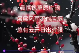 怀旧经典《一剪梅》，演唱：费玉清，重温经典，一代人的回忆！#经典老歌 #一剪梅 #费玉清 #原唱 #好歌推荐 @抖音短视频视频封面