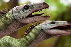 迅猛龙狩猎惨遭霸王龙打劫 这只霸王龙懂得龙情世故！#恐龙世界