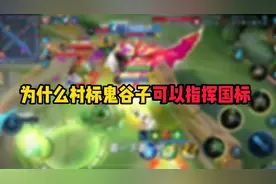 为什么村标鬼谷子可以指挥国标 #王者荣耀