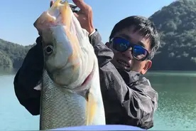 代钓翘嘴？😂 #dou是钓鱼人 #2025dou来钓鱼 #原来钓鱼才是抖音运动顶流视频封面