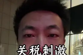 特朗普关税对实体的影响 内需的当务之急是加大放水力度！#段成 #金融 #经济视频封面