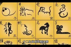 十二生肖相克相冲表视频封面