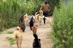 陌生人无条件给你1万块你会怎么办？ 她像被困在琥珀里的蝴蝶，看得见阳光却挣不脱宿命 #流浪狗 #我的乡村生活 #流浪猫 #刘沐川