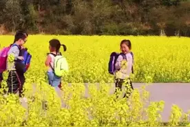 渭南市教育局关于2023-2024学年度中小学幼儿园放暑假的通知视频封面