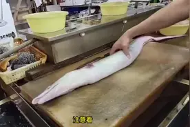 海鳗鱼刺身做法#杀鱼技术 #刺身美食 #抖音美食