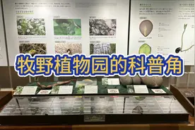 牧野植物园的科普角，植物学基础科普知识都在这里了