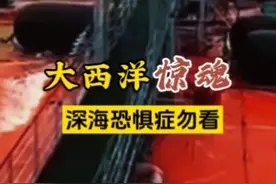大西洋惊魂（深海恐惧症勿看） 大西洋遭遇强台风，全员心惊胆颤，有30年航海经验的船长也是面色凝重。但我们坚信一定能够平安回国#航海#海上遭遇大风浪#带你去看海#旅行大玩家视频封面