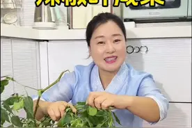 辣椒叶不要再扔了学我这样做巨巨巨好吃！#辣椒叶做法 #辣椒叶咸菜腌制方法 #下饭菜 @抖音短视频 #抖音美食推荐官视频封面
