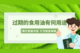 过期的食用油你可千万别着急扔掉！教你几招，将它变废为宝～视频封面