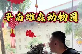 三月三 带老婆打卡平南雄森旅游度假区 带老婆来到平南雄森旅游度假区玩 没想到一个县里的动物园能这么大 第一次近距离接触老虎   #广西三月三有多好玩 #广西春光三月三  #雄森旅游度假区 #平南县 #2025广西旅游年视频封面