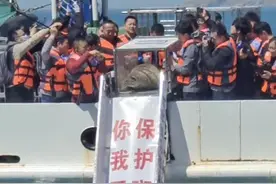 4月16日为斑海豹保护日，大连举行斑海豹放生仪式。#野生动物零距离 #斑海豹 #小海豹卖萌视频 #万物有灵 #大连圣亚海洋世界