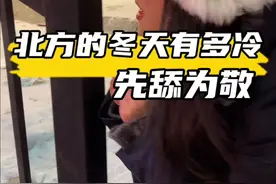 南极才不是最冷的，中国的这里比南极还要冷！#冻成狗了 #冬天该有的样子