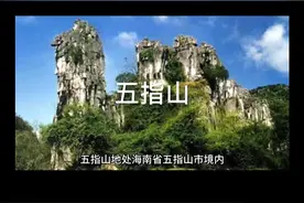 #地理知识 #创作者中心 #创作灵感 #文化旅游 五指山#五台山美景图片  五指山位于中国海南省中部，是海南岛的象征性地理标志和重要旅游胜地，因五座山峰形似五指而得名。以下是关于五指山的详细介绍：  ### 地理位置 五指山地处海南省五指山市境内，属海南热带雨林国家公园核心区域，主峰海拔1867米，是海南岛最高峰，被称为“海南屋脊”。  ### 自然特征 1. **地貌形态**：五座山峰呈西南-东北走向排列，二指（主峰）最为险峻，一、三指间有深谷相隔，四指和五指呈锯齿状相连。 2. **生态资源**：保存有全球罕见的热带原始雨林，森林覆盖率86%，拥有2000多种维管植物（包括海南特有物种桫椤、坡垒等）及海南长臂猿等34种国家重点保护动物。 3. **气候特点**：山区云雾缭绕，年均气温22.4℃，年降雨量超2000毫米，形成独特山地气候。  ### 人文价值 * **民族文化**：黎族、苗族聚居地，流传着"黎族祖先射日化山"等传说，保留传统船型屋、织锦技艺。 * **红色记忆**：琼崖纵队曾在此建立革命根据地，现存抗战遗迹。 * **文学意象**：《西游记》中如来佛五指山镇压孙悟空的典故广为流传。  ### 旅游体验 - **登山线路**：分登山栈道（至观山台）和专业登山道（需5-7小时登顶），最佳季节11月-次年4月 - **特色景观**：云海、日出、峡谷漂流（夏季热门项目） - **周边配套**：水满河热带雨林风景区、黎峒文化园，市区距三亚约90公里  ### 保护地位 2003年晋升国家级自然保护区，2019年纳入首批国家森林步道，2021年成为联合国教科文组织世界生物圈保护区成员。  作为海南生态核心，五指山既是科研重地，也是生态旅游的热门目的地，完美融合自然奇观与人文底蕴。
